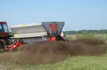 FERTILIZACION, ABONO, FERTILIZANTE, ABONADO DE CAMPO